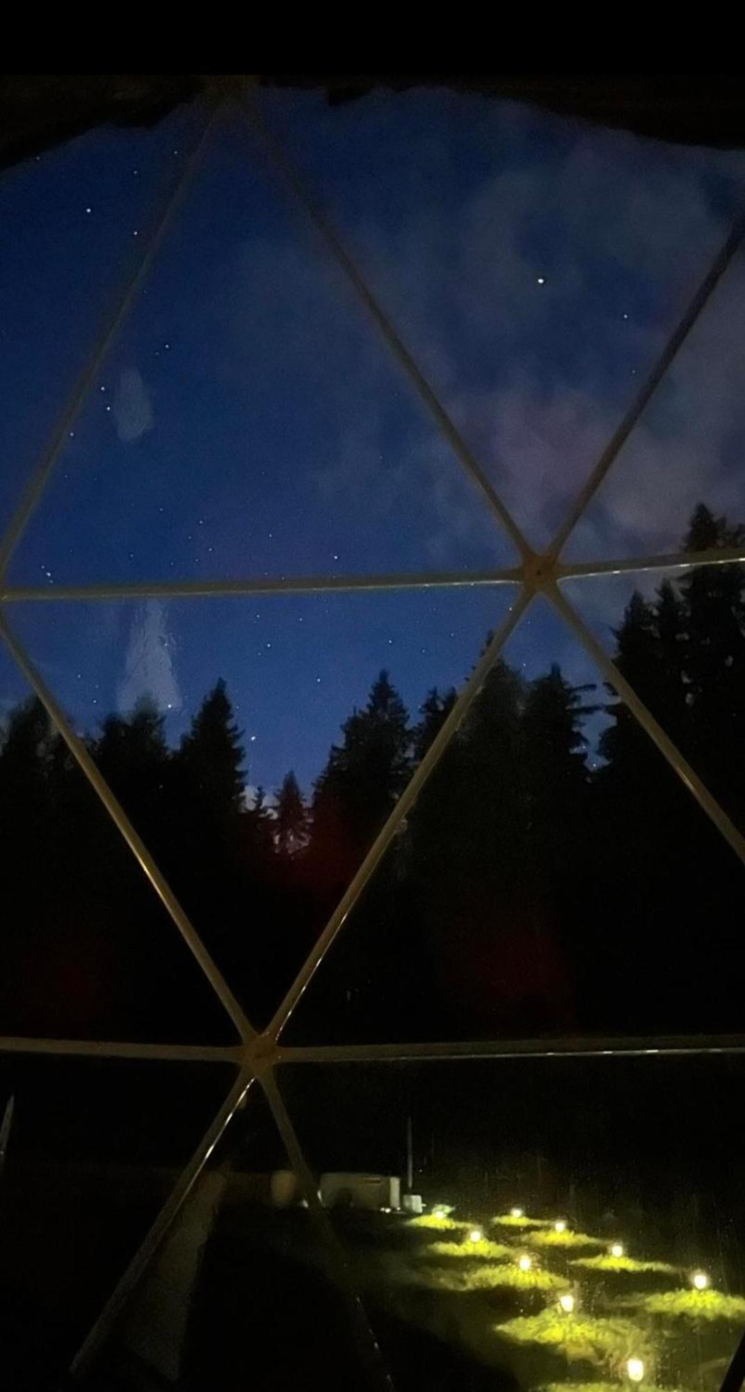 Forrest Glamp Hotel Mieroszow Buitenkant foto