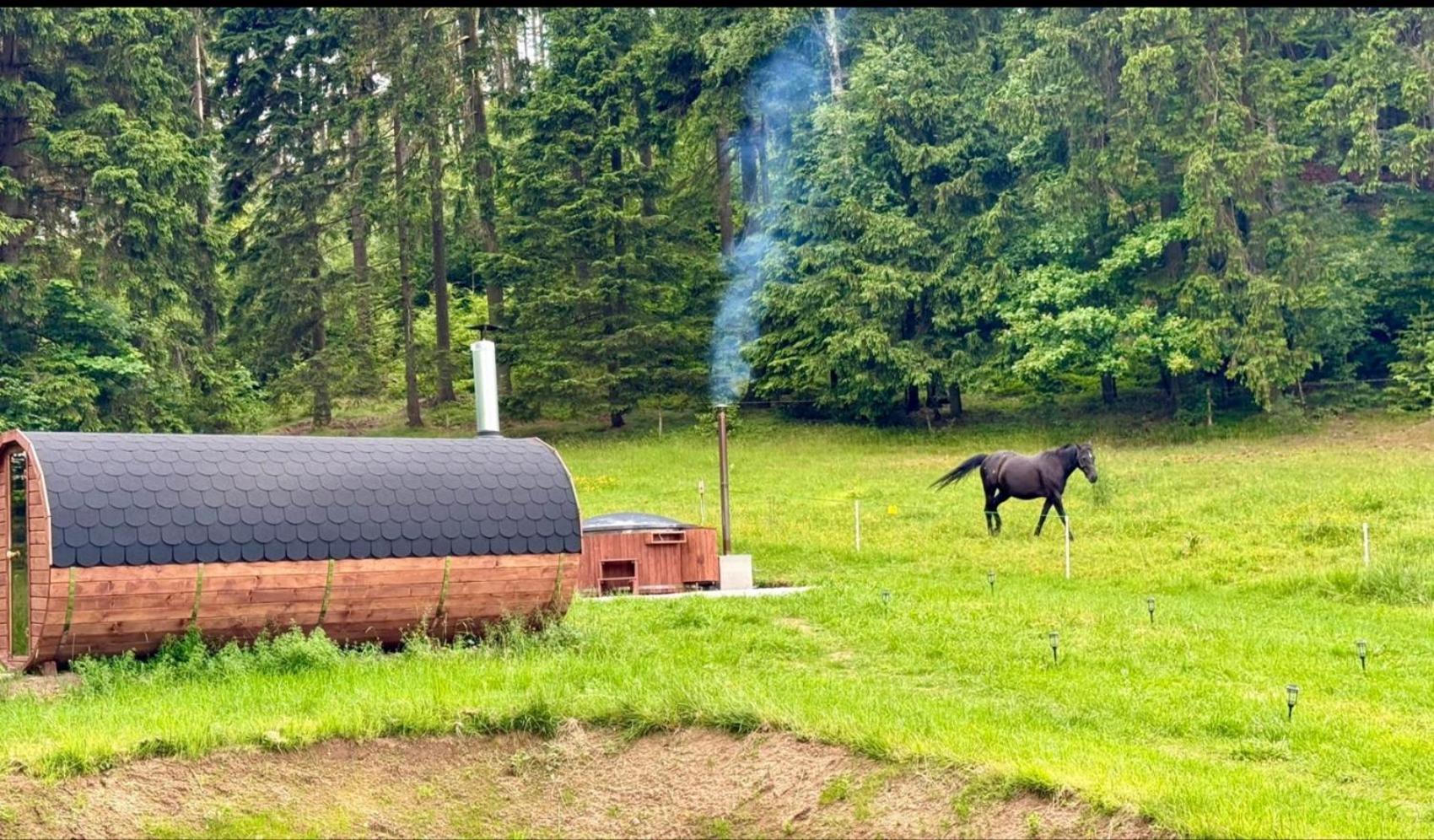 Forrest Glamp Hotel Mieroszow Buitenkant foto